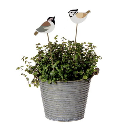 Painted Bird Plant Pick-Assorted Styles, sold seperately