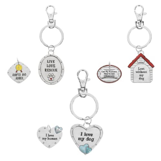 Best Friends FURever Pet Tag & Keychain Set, Assorted Styles