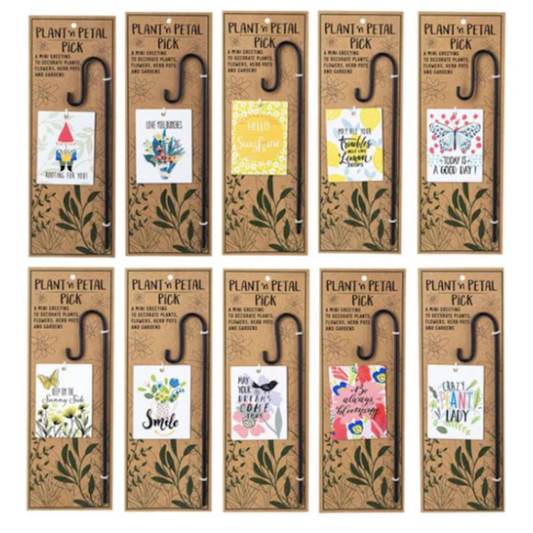 Plant 'n Petal Pick-Plant Greeting (Assorted Styles, sold seperately)