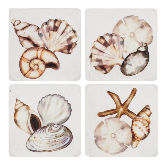 Shell Coaster Set