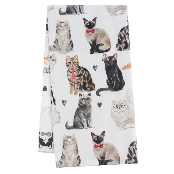 Snarky Cat Tea Towel-Assorted, each sold seperately
