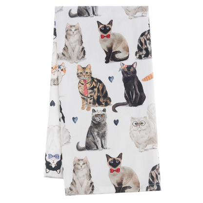 Snarky Cat Tea Towel-Assorted, each sold seperately
