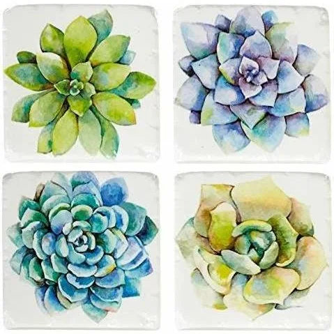 Succulent Coaster Set