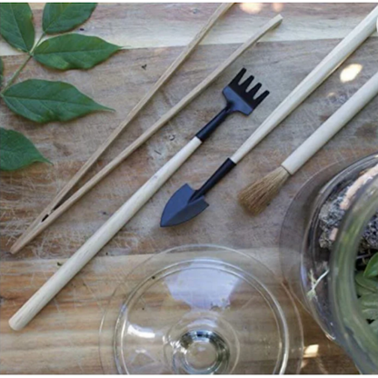 Terrarium Tools-Set of 4