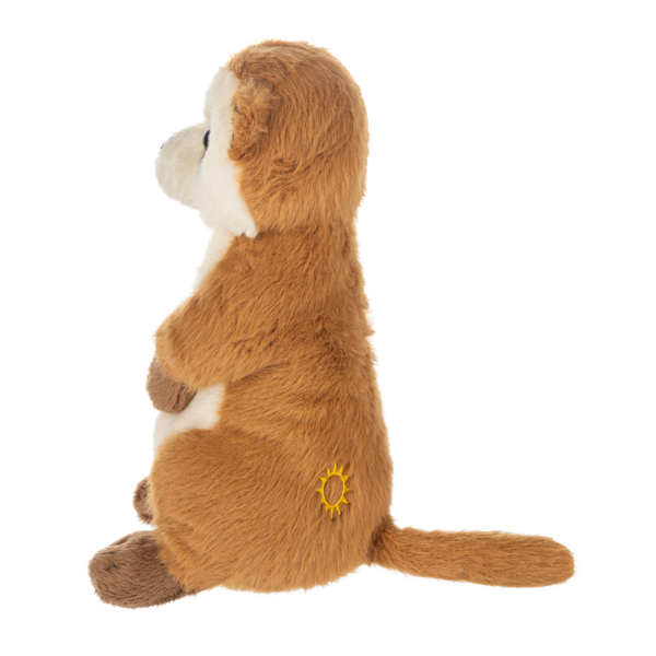 Webkinz Meerkat