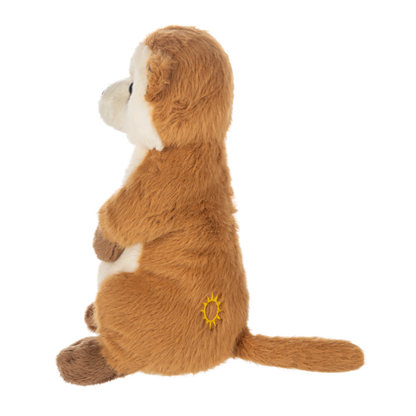 Webkinz Meerkat
