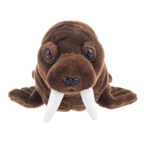 Walrus Plush Toy