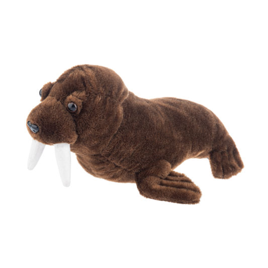 Walrus Plush Toy