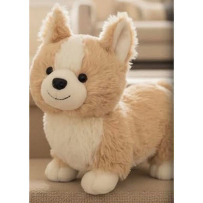 Webkinz Next, Corgi