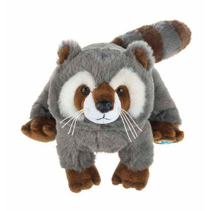 Webkinz Next-Raccoon