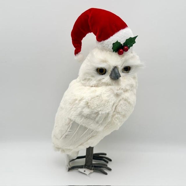 White Owl with Red Santa Hat