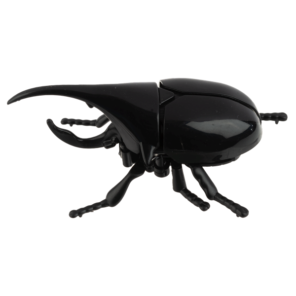 Wind-Up Crawling Beetles-Assorted, each sold separately