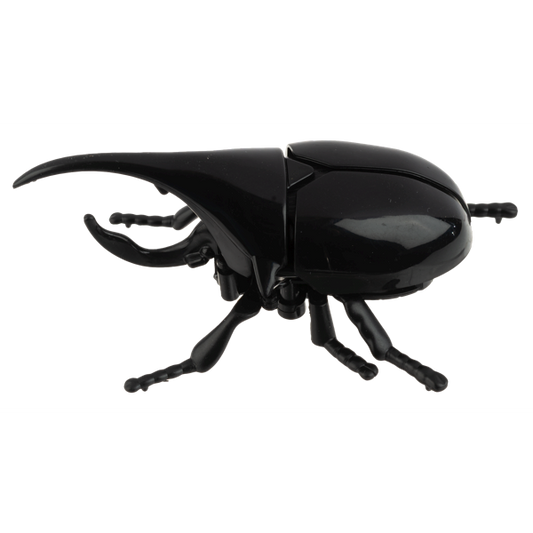 Wind-Up Crawling Beetles-Assorted, each sold separately