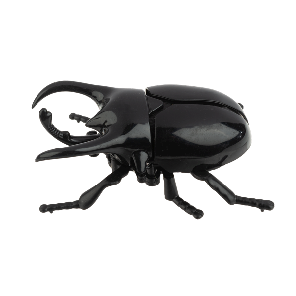 Wind-Up Crawling Beetles-Assorted, each sold separately