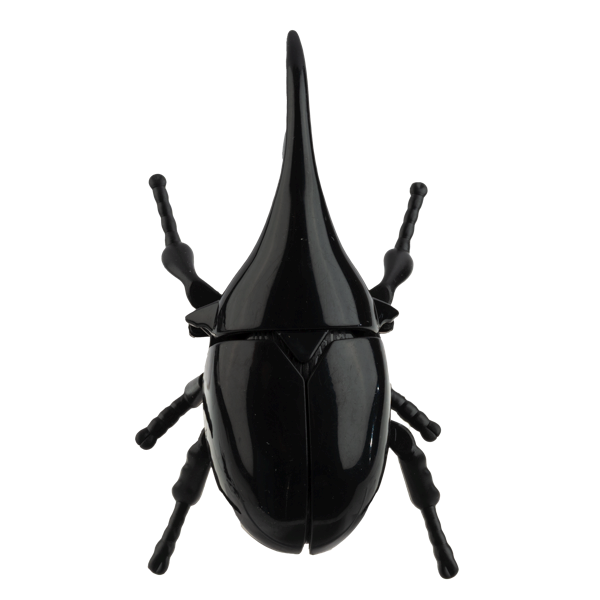 Wind-Up Crawling Beetles-Assorted, each sold separately