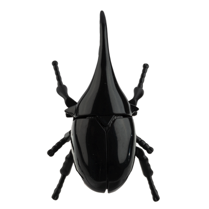 Wind-Up Crawling Beetles-Assorted, each sold separately