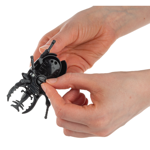 Wind-Up Crawling Beetles-Assorted, each sold separately