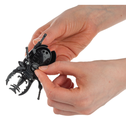 Wind-Up Crawling Beetles-Assorted, each sold separately
