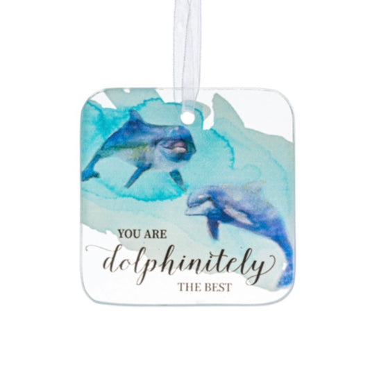 You Are Dolphinitely the Best, Coastal Glass Ornament