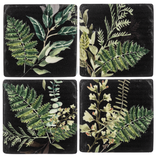 Fern Coaster Set