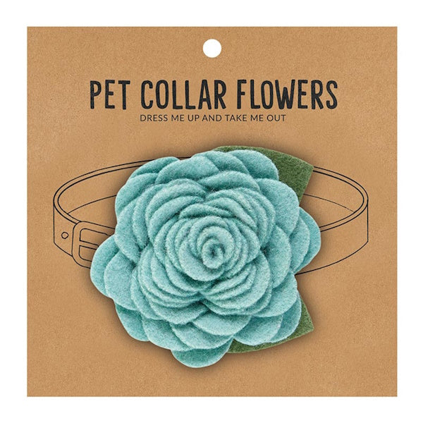 Pet Flower-Aqua